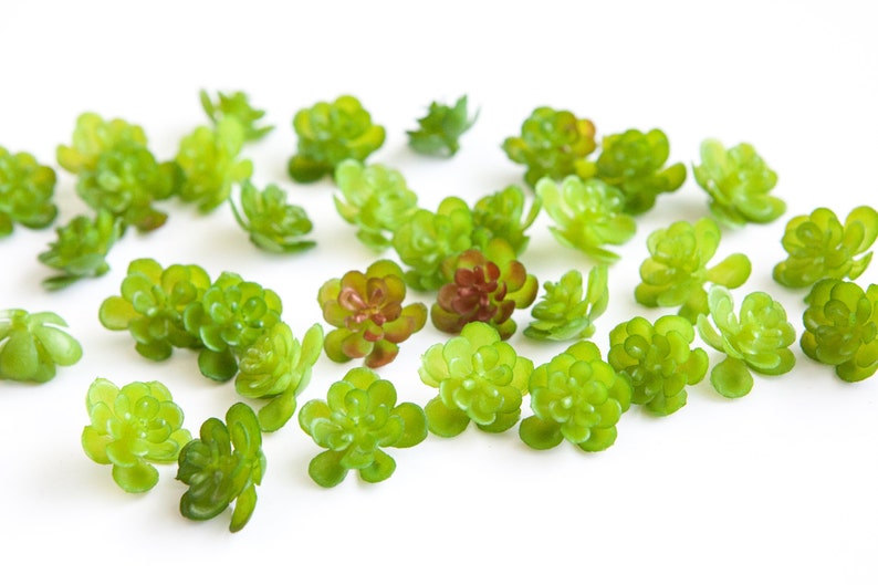 Fake Succulents 2434 Artificial Mini Succulents in Green Etsy