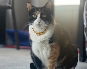 Cat Chain, Collar with breakaway buckle Gold and Silver