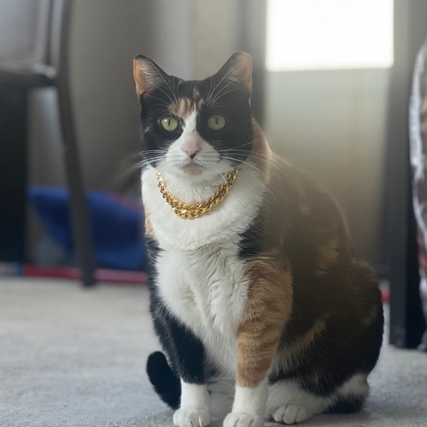 Cat Chain, Collar with breakaway buckle Gold and Silver