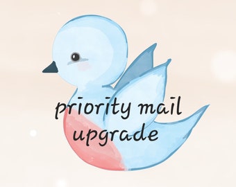 USPS priority mail shipping upgrade for US sparkklejar purchases