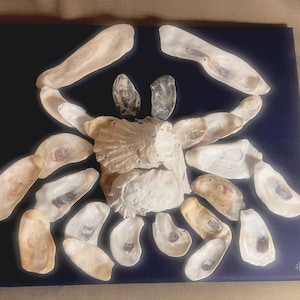 oyster shell crab wall art