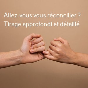 Allez-vous vous réconcilier ? Lecture sous 3 jours ouvrées