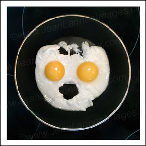 Fried Egg Art 8x10 Photograph Yo Mister Sunny Side Up series, a humorous inspirational whimsical look at breakfast food by Jean Lannen imagem 1