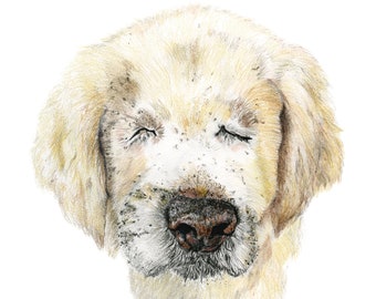 Golden Retriever Color Pencil Print, Golden Retriever lovers gift, dog lovers present, colored pencil print, pet portrait, dog drawing