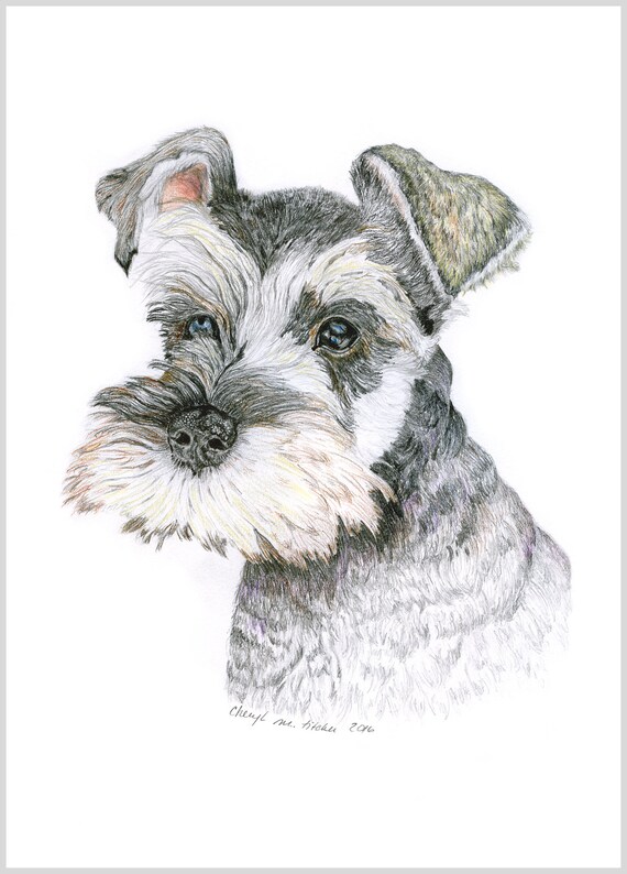 Barnes and Noble Miniature Schnauzer Coloring Book: A Cute Adult Coloring  Books for Mini Schnauzer Owner, Best Gift for Dog Lovers