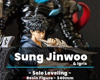 Sung Jinwoo Anime - Hand-painted - Resin Print