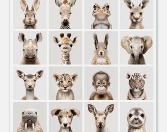 Modern animal portraits on aluminum print