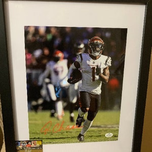 Foto autografada de JaMarr Chase com assinatura autêntica do COA Cincinnati Bengals NFL Esportes Assinados