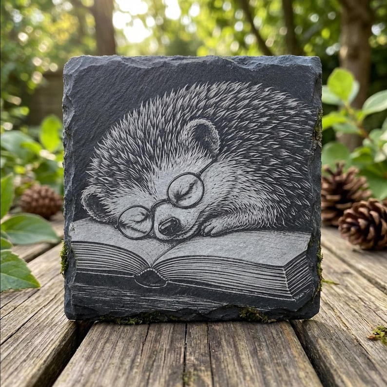 Sleepy Hedgehog Book Laser Engraving PNG File for Slate Coasters ...