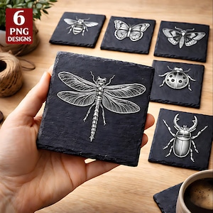 May include: Set of six square slate coasters with detailed insect designs. Each coaster features a different insect: a bee, butterfly, moth, ladybug, dragonfly, and beetle. The coasters are dark gray with silver-colored insect illustrations. The image includes the text "6 PNG Designs."