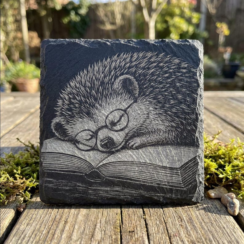 Sleepy Hedgehog Book Laser Engraving PNG File for Slate Coasters ...