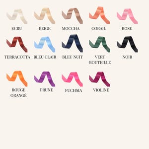 May include: A selection of ribbons in various colors, including ecru, beige, mocha, coral, and rose. The image also displays terracotta, light blue, navy blue, bottle green, and black ribbons. Additional colors are orange, purple, fuchsia, and violet. The text "Rubans/Ribbons" is at the top.