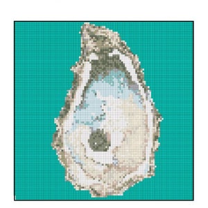 May include: A close-up of a white oyster shell with a textured surface. The shell is on a teal background.