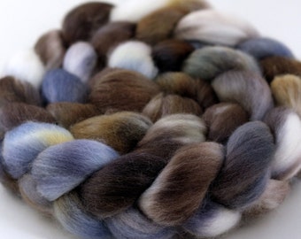 Morel - Handpainted Falkland wool top/roving - 4oz