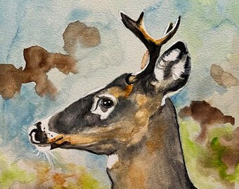 Young Buck an orginal watercolor painting by Pattie Wall