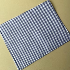 May include: A blue and white checkered placemat. The placemat has a classic gingham pattern, with a stitched edge. The fabric is a light blue and white, creating a simple, yet elegant design. The placemat is rectangular.
