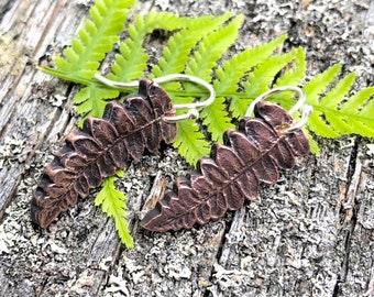 Copper Fern Earrings on Sterling Silver Earwires