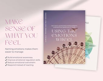 Emotional Regulation Skills Worksheet | Feelings Wheel for Understanding Emotions | Grounding Techniques