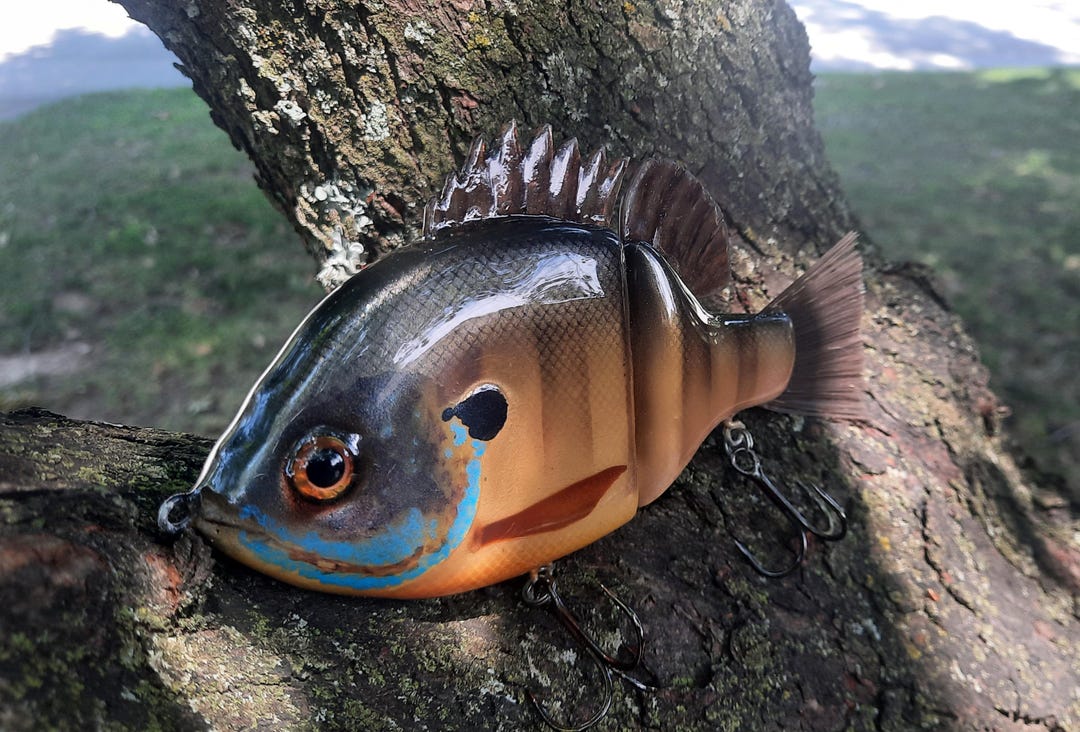 Leurre De Pêche ODS Bluegill Glide Bait - Appât De Surface Flottant Pour Brochet, Perche, Truite Et Achigan
