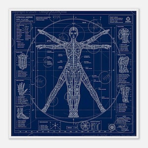 Könnte beinhalten: Blaupause-Illustration eines Vitruvianischen Androiden, mit einer menschenähnlichen Figur und mechanischen Komponenten. Das Design ist in Weiß auf dunklem Blau gehalten, mit detaillierten Diagrammen und Text. Der Text enthält "VITRUVIAN ANDROID" und "Design Studio Mila".