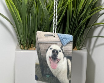May include: Rectangular air freshener featuring a smiling husky dog with blue eyes and a pink tongue. The air freshener is suspended by a white string. The background includes a white pot with green plants.