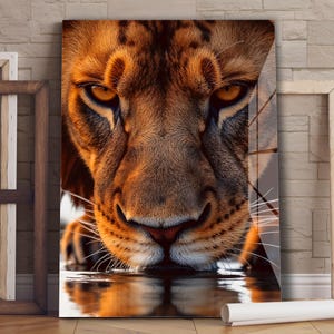 Lion Tempered Glass Wall Art | Animal Wall Art | Wildlife Wall Art | Luxury Wall Art | Modern Wall Decor | Glass Wall Decor