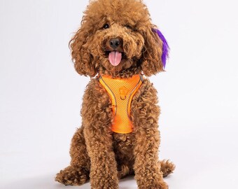 Neon Orange Breathable Airmesh Dog Harness, Lightweight, Adjustable, and Reflective, Perfect for Small and Medium Dogs, Comfortable Harness