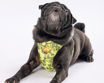 May include: A black pug dog wearing a green and yellow camouflage dog harness with an orange emblem. The dog is lying down and looking upwards against a white background.