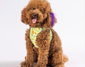 May include: A brown and white poodle wearing a green and yellow dog harness with a smiling avocado pattern. The harness has a purple feather attached to it.