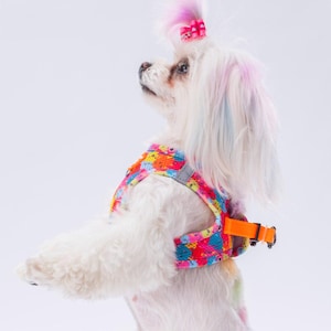 Colourful Monster Print Dog Harness, Breathable Mesh Vest for X-Small to Large Dogs, Secure Locking System