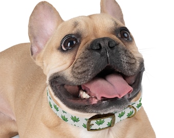 Hemp Dog Collar, Eco-Friendly, Sustainable Pet Collar