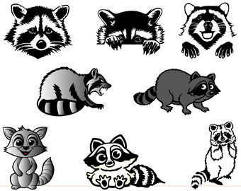 Raccoon Bundle Svg, Cartoon Raccoon Svg, Raccoon Svg,