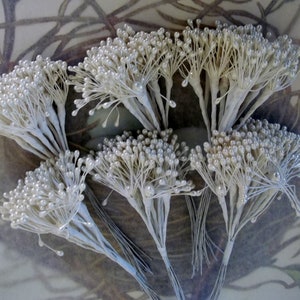 Vintage Millinery Flower Centers / Floral Pips-Peps / Pearlized Aged White / Stamen / Six Bunches of Twelve Stems / 72 Clusters image 8