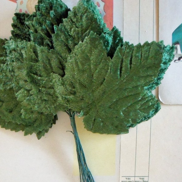 Vintage Millinery / Velvet Grape Leaves / Bunch of Twelve / Larger Leaf / Embossed Details