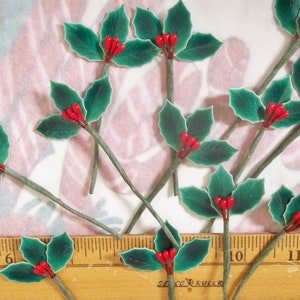 May include: A collection of twelve green holly sprigs with red berries. The sprigs are arranged on a white surface with a wooden ruler in the bottom of the image. The ruler is marked with inches.