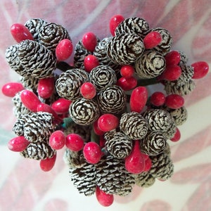 May include: A cluster of decorative pinecones and red berries. The pinecones are brown with white accents, and the berries are a vibrant red. The arrangement is likely for seasonal or holiday decor.