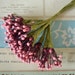 see more listings in the Vintage Stamens and Pips section