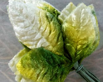 One Bunch / Vintage Millinery Supplies / Variegated Velvet Rose Leaves / Twelve Stems / Thirty Six Leaves / Ombre / Embossed / Corsage