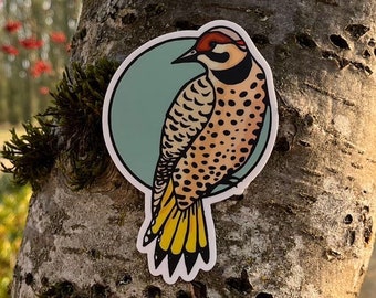 Vinyl Sticker - Flicker Bird - 4” - Free Domestic Shipping