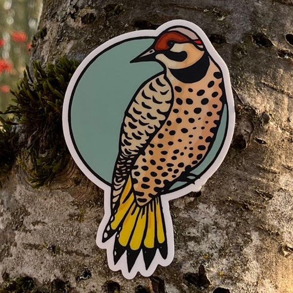 Vinyl Sticker - Flicker Bird - 4” - Free Domestic Shipping