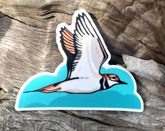 Plover Shorebird - Vinyl Sticker -  3” - Free Domestic Shipping