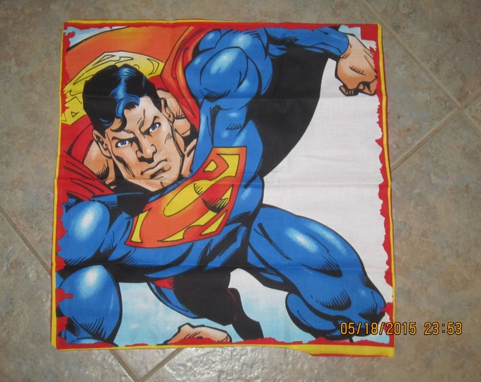 Superman Unstuffed Pillow Set - 13" x 13"  - Clearance