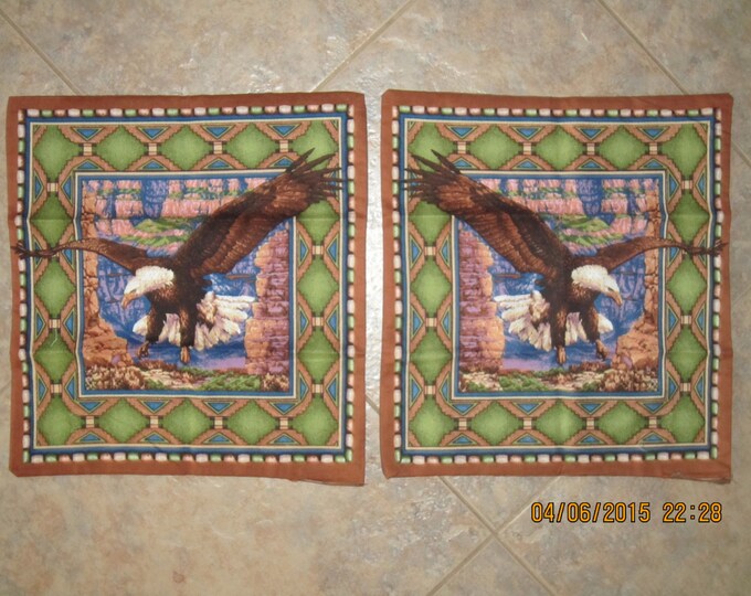 Southwestern Eagle Unstuffed Pillow Set  - Clearance