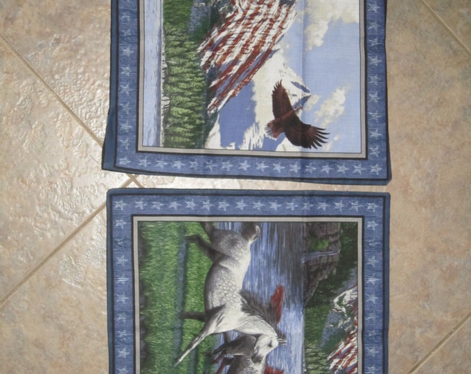Patriotic Point Horse Unstuffed Pillow Set - Horse Decor -Clearance