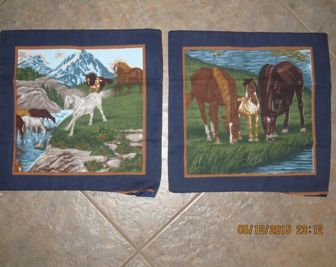 Horses Mini Unstuffed Pillow Set 10.5" x 10.5" (Navy Blue Border/Navy Backing or Black Border with Black Backing) -Clearance
