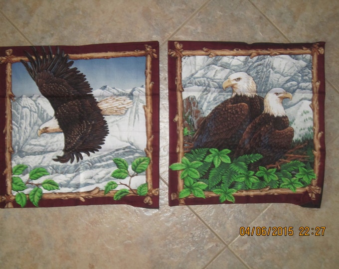Flying Eagle Unstuffed Pillow Set  - Clearance