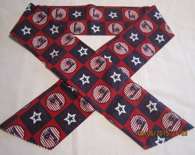 Extra Wide 3" Reusable Non-Toxic Cool Wrap / Neck Cooler  - Patriotic - Statue of Liberty