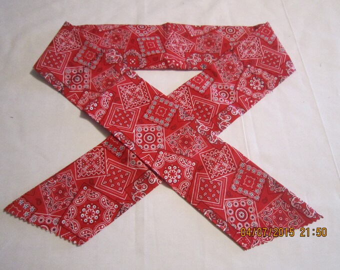 Extra Wide 3" Reusable Non-Toxic Cool Wrap / Neck Cooler  - Cowboy/Bandana/Hanky - Red Paisley