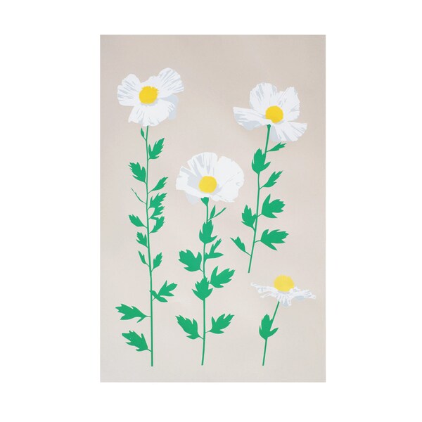 Matilija Mohnblume-Print