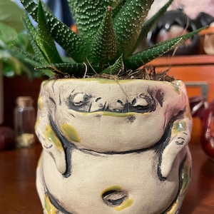 Cache-pot Mandragore racine Cache-pot mandragore Jardinières pour plantes d'intérieur et succulentes Pots en céramique fantaisie faits main Travaillez en un seul exemplaire